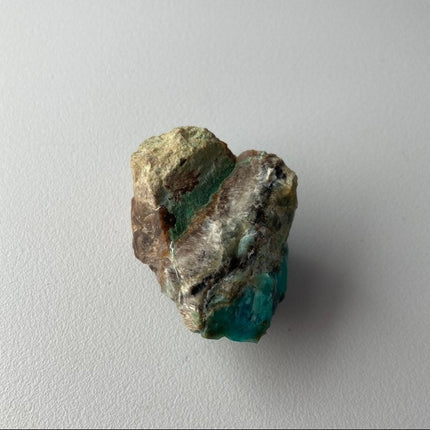 Raw Petrified Wood from Turkey - My Shop of Wonders