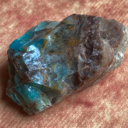 Raw Petrified Wood from Turkey - My Shop of Wonders
