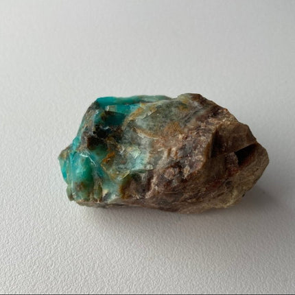 Raw Petrified Wood from Turkey - My Shop of Wonders