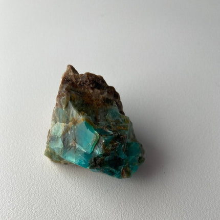 Raw Petrified Wood from Turkey - My Shop of Wonders