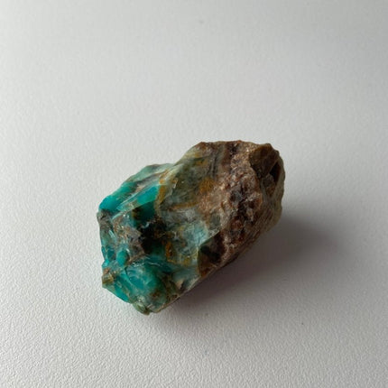 Raw Petrified Wood from Turkey - My Shop of Wonders