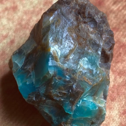 Raw Petrified Wood from Turkey - My Shop of Wonders