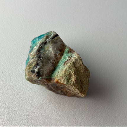 Raw Petrified Wood from Turkey - My Shop of Wonders