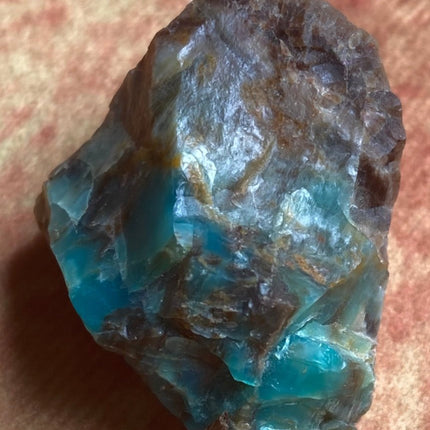 Raw Petrified Wood from Turkey - My Shop of Wonders