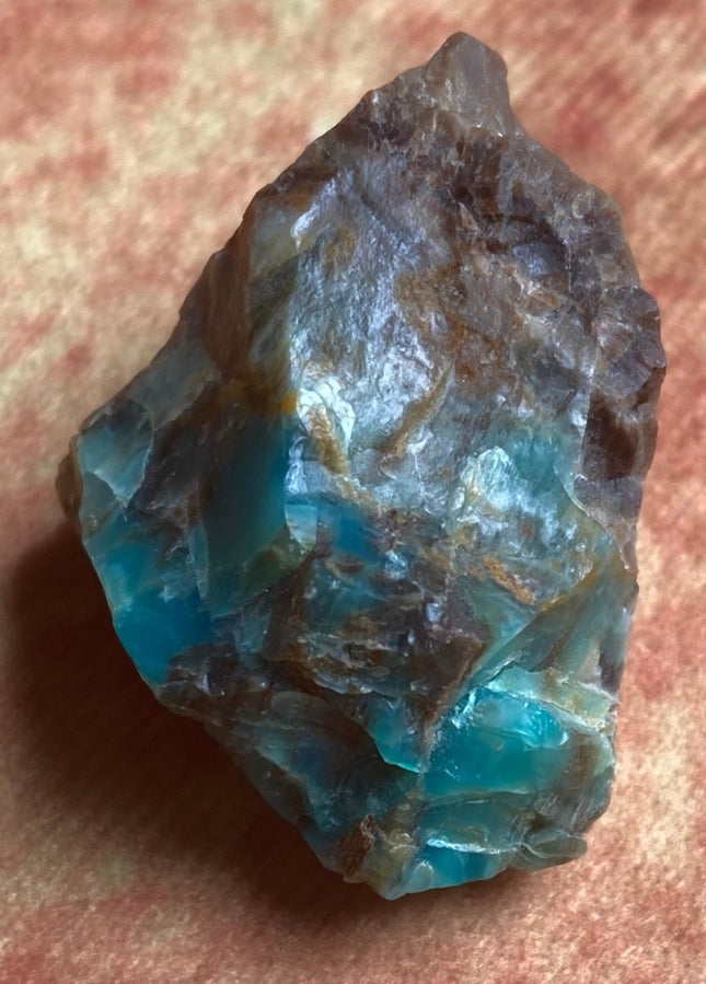 Raw Petrified Wood from Turkey - My Shop of Wonders