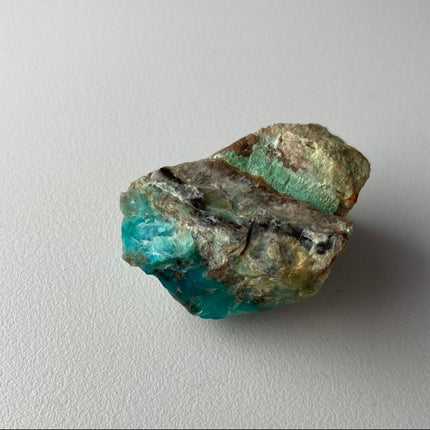 Raw Petrified Wood from Turkey - My Shop of Wonders