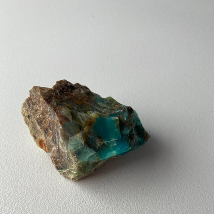 Raw Petrified Wood from Turkey - My Shop of Wonders