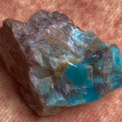 Raw Petrified Wood from Turkey - My Shop of Wonders