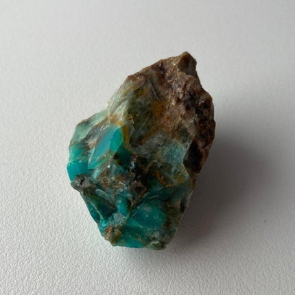 Raw Petrified Wood from Turkey - My Shop of Wonders