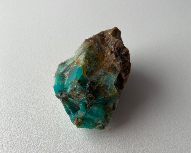 Raw Petrified Wood from Turkey - My Shop of Wonders