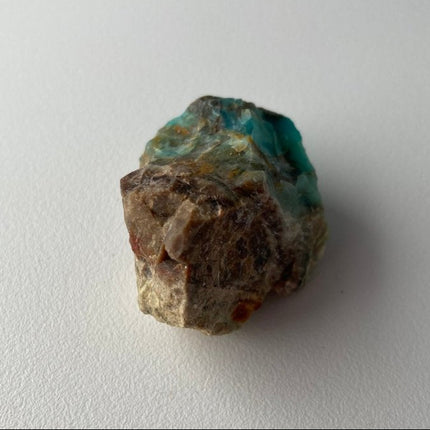 Raw Petrified Wood from Turkey - My Shop of Wonders