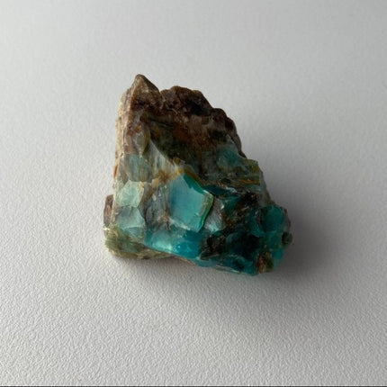 Raw Petrified Wood from Turkey - My Shop of Wonders