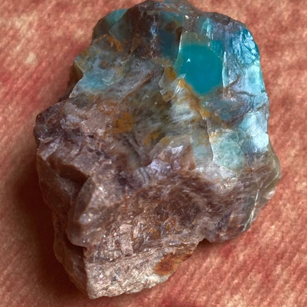 Raw Petrified Wood from Turkey - My Shop of Wonders