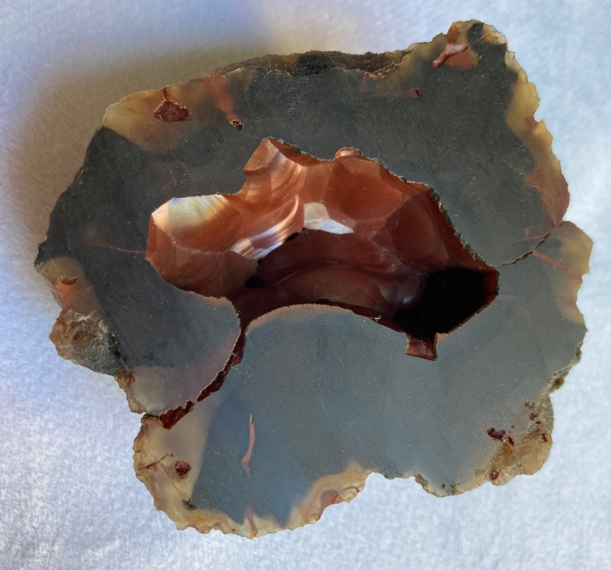 Red Fox Agate from Patagonia, Argentina - My Shop of Wonders