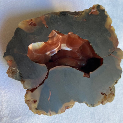 Red Fox Agate from Patagonia, Argentina - My Shop of Wonders