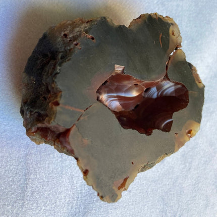Red Fox Agate from Patagonia, Argentina - My Shop of Wonders