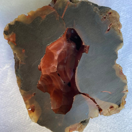 Red Fox Agate from Patagonia, Argentina - My Shop of Wonders