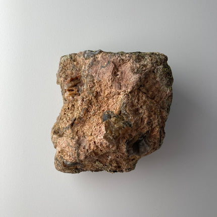 Red Stone Agate: Buy with Confidence Now - My Shop of Wonders