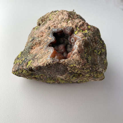 Red Stone Agate: Buy with Confidence Now - My Shop of Wonders