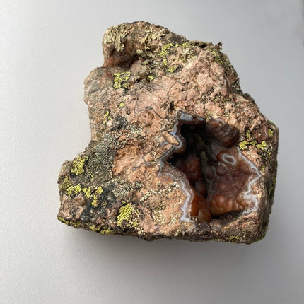 Red Stone Agate: Buy with Confidence Now - My Shop of Wonders