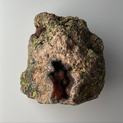 Red Stone Agate: Buy with Confidence Now - My Shop of Wonders