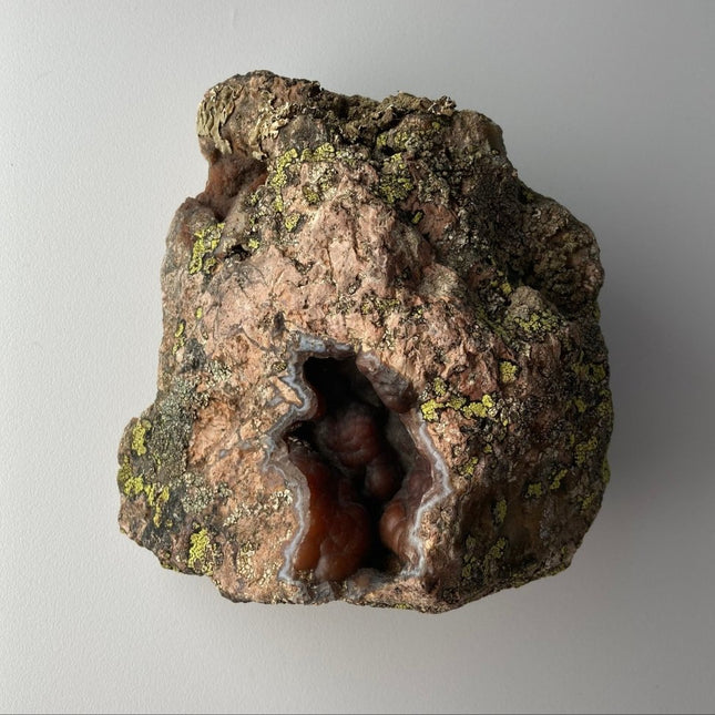 Red Stone Agate: Buy with Confidence Now - My Shop of Wonders