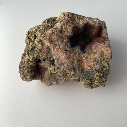 Red Stone Agate: Buy with Confidence Now - My Shop of Wonders