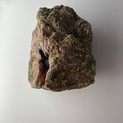 Red Stone Agate: Buy with Confidence Now - My Shop of Wonders