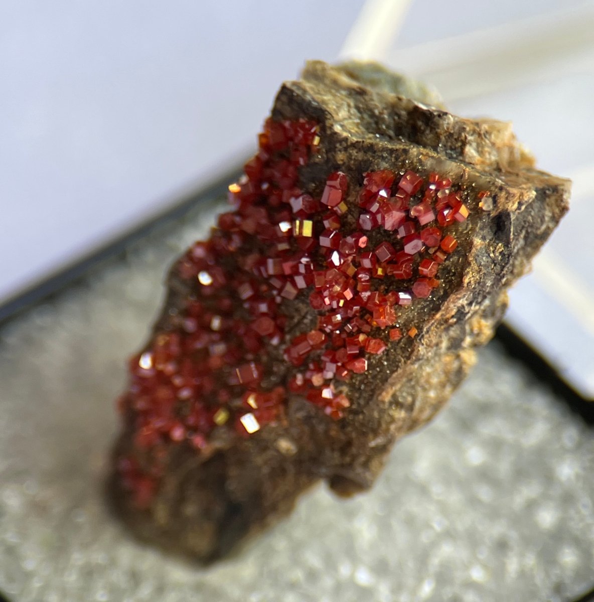 Red Vanadinite for Sale from Arizona - My Shop of Wonders