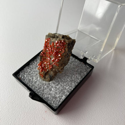 Red Vanadinite for Sale from Arizona  - My Shop of Wonders