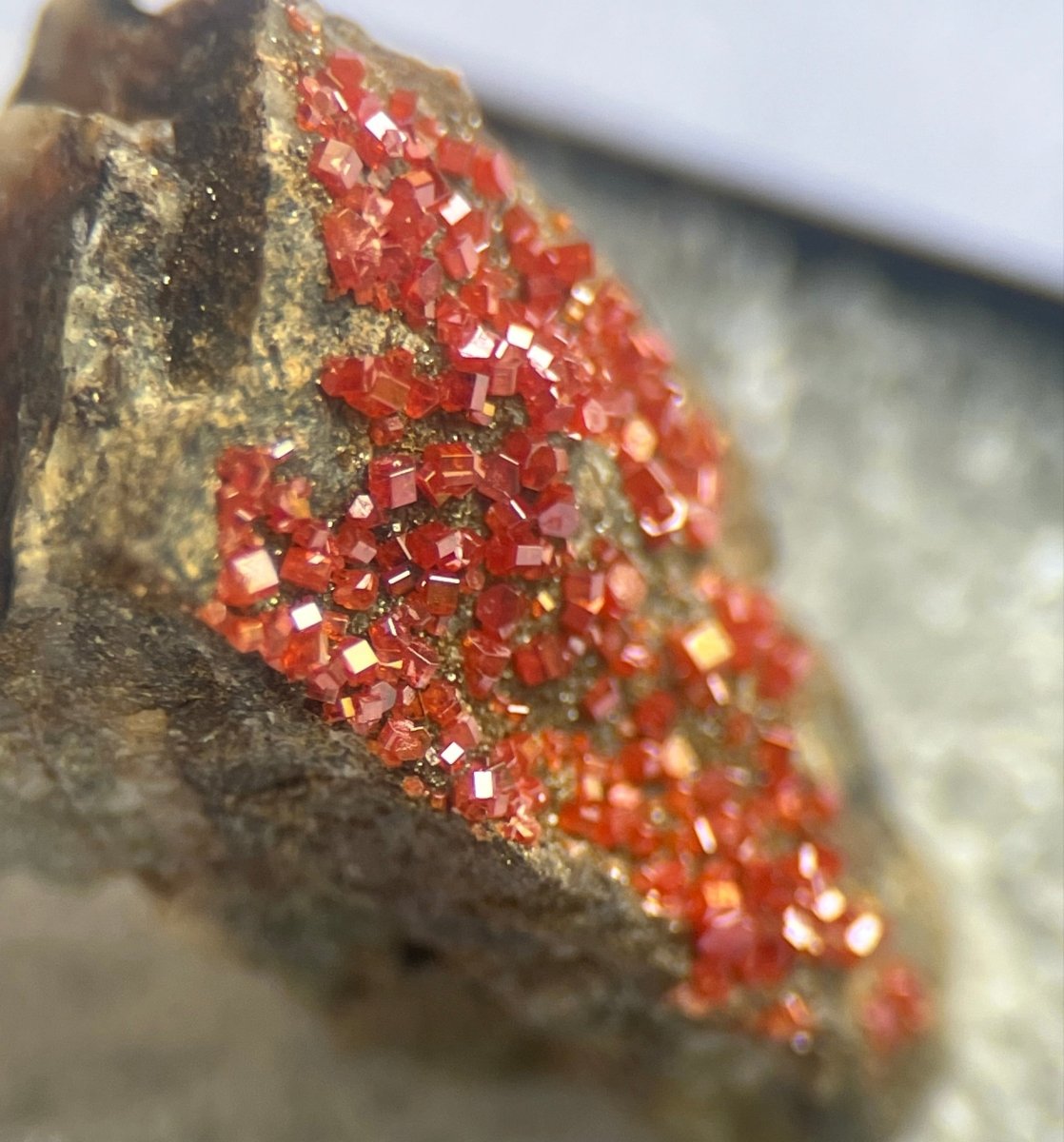 Red Vanadinite for Sale from Arizona - My Shop of Wonders