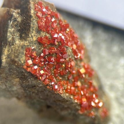 Red Vanadinite for Sale from Arizona - My Shop of Wonders