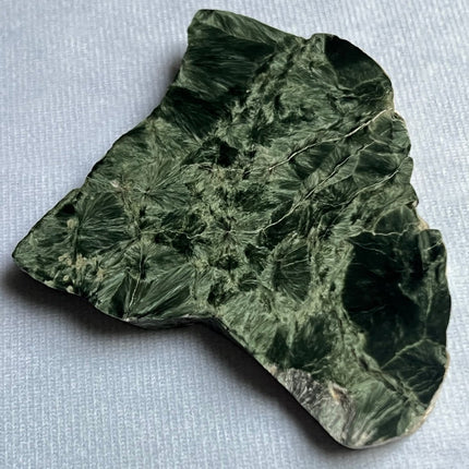 Seraphinite Stone Resembling Christmas Tree - My Shop of Wonders