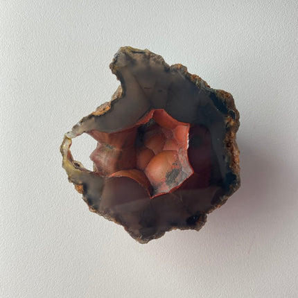 Unique Red Fox Agate from Argentina - My Shop of Wonders