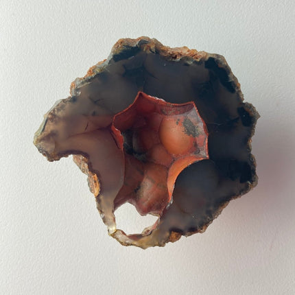 Unique Red Fox Agate from Argentina - My Shop of Wonders