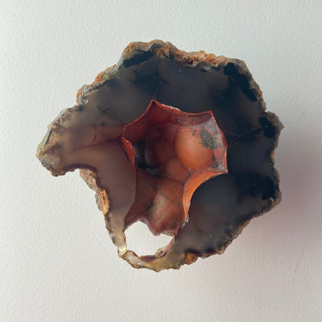 Unique Red Fox Agate from Argentina - My Shop of Wonders