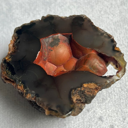 Unique Red Fox Agate from Argentina - My Shop of Wonders