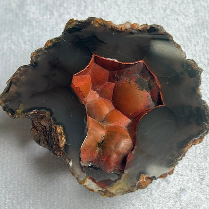Unique Red Fox Agate from Argentina - My Shop of Wonders