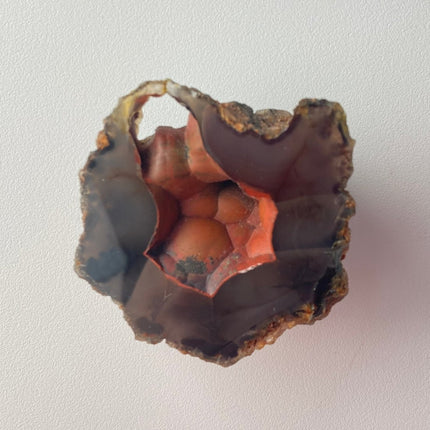 Unique Red Fox Agate from Argentina - My Shop of Wonders