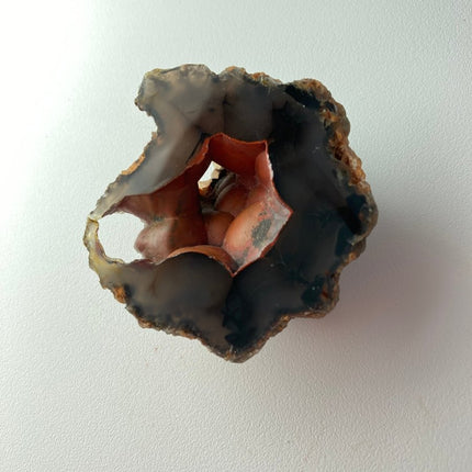 Unique Red Fox Agate from Argentina - My Shop of Wonders