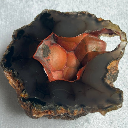 Unique Red Fox Agate from Argentina - My Shop of Wonders