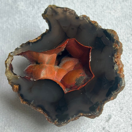 Unique Red Fox Agate from Argentina - My Shop of Wonders