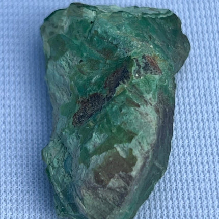 Unpolished Petrified Wood from Turkey - My Shop of Wonders