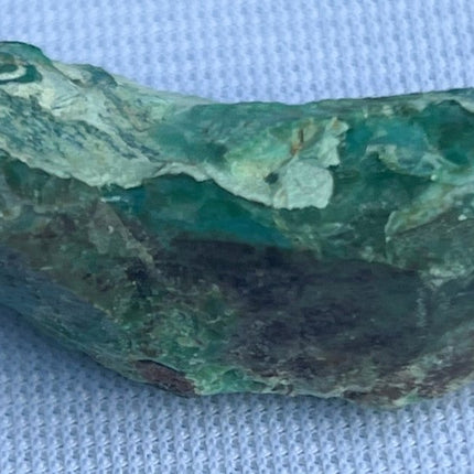 Unpolished Petrified Wood from Turkey - My Shop of Wonders