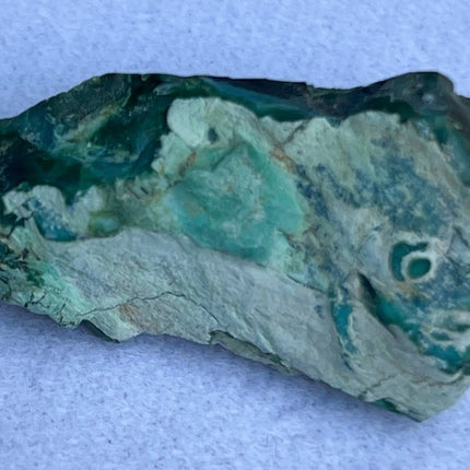 Unpolished Petrified Wood from Turkey - My Shop of Wonders