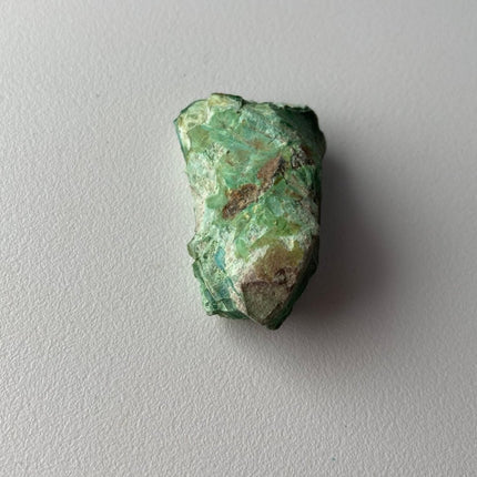 Unpolished Petrified Wood from Turkey - My Shop of Wonders