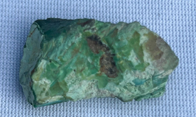 Unpolished Petrified Wood from Turkey - My Shop of Wonders