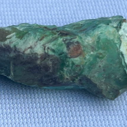 Unpolished Petrified Wood from Turkey - My Shop of Wonders