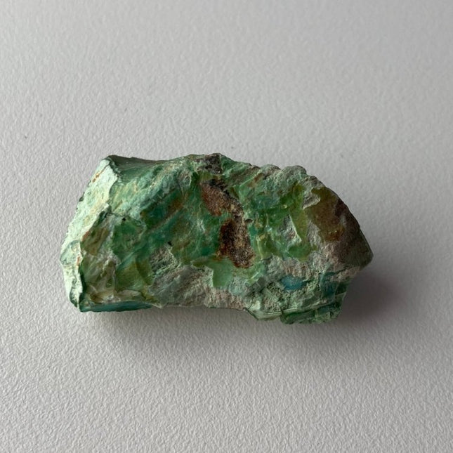 Unpolished Petrified Wood from Turkey - My Shop of Wonders