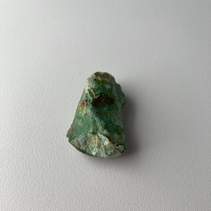 Unpolished Petrified Wood from Turkey - My Shop of Wonders